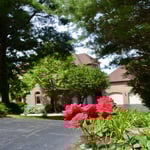 Westwood backyard oasis
