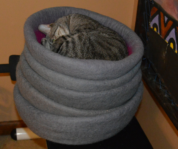 tabby cat sleeping in cat cave