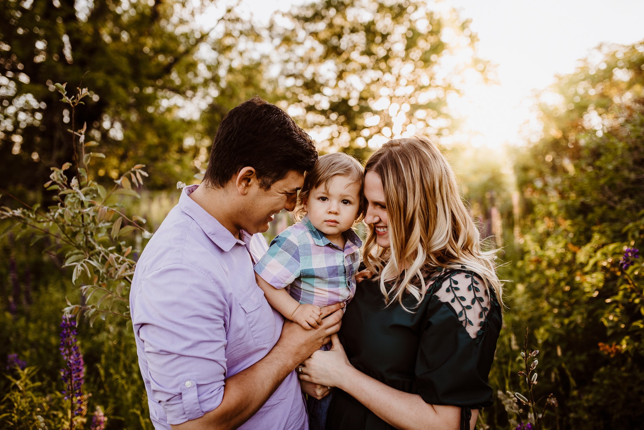 Lupine Photography Maine Family Sunset Dress Purple Boy Sun Flare