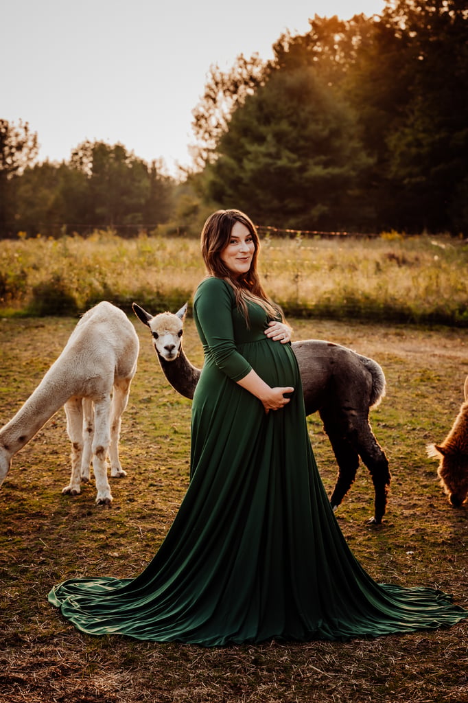 Maine maternity photoshoot with alpaca