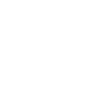 Why Choose Icon