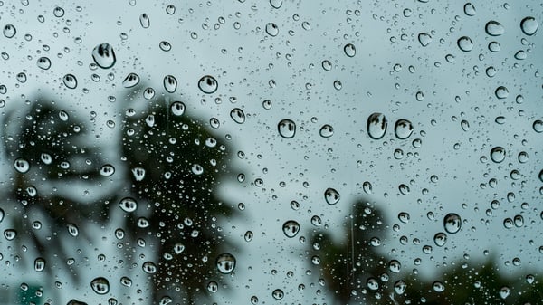 Stormy Weather Plans: What to Do in the Florida Keys When It Rains