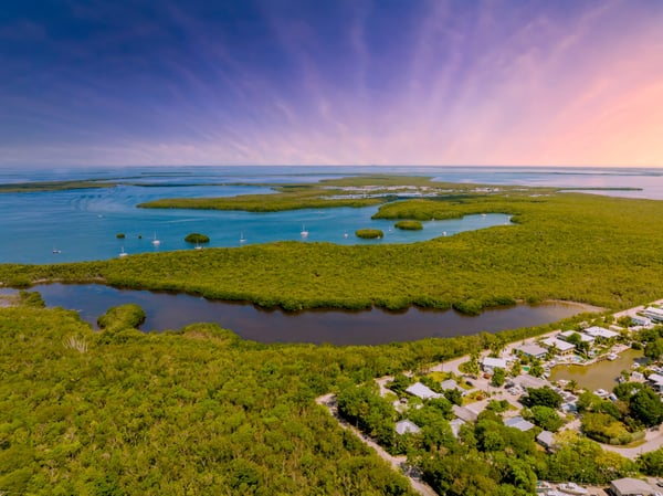 Unveiling the Hidden Gems of Key Largo