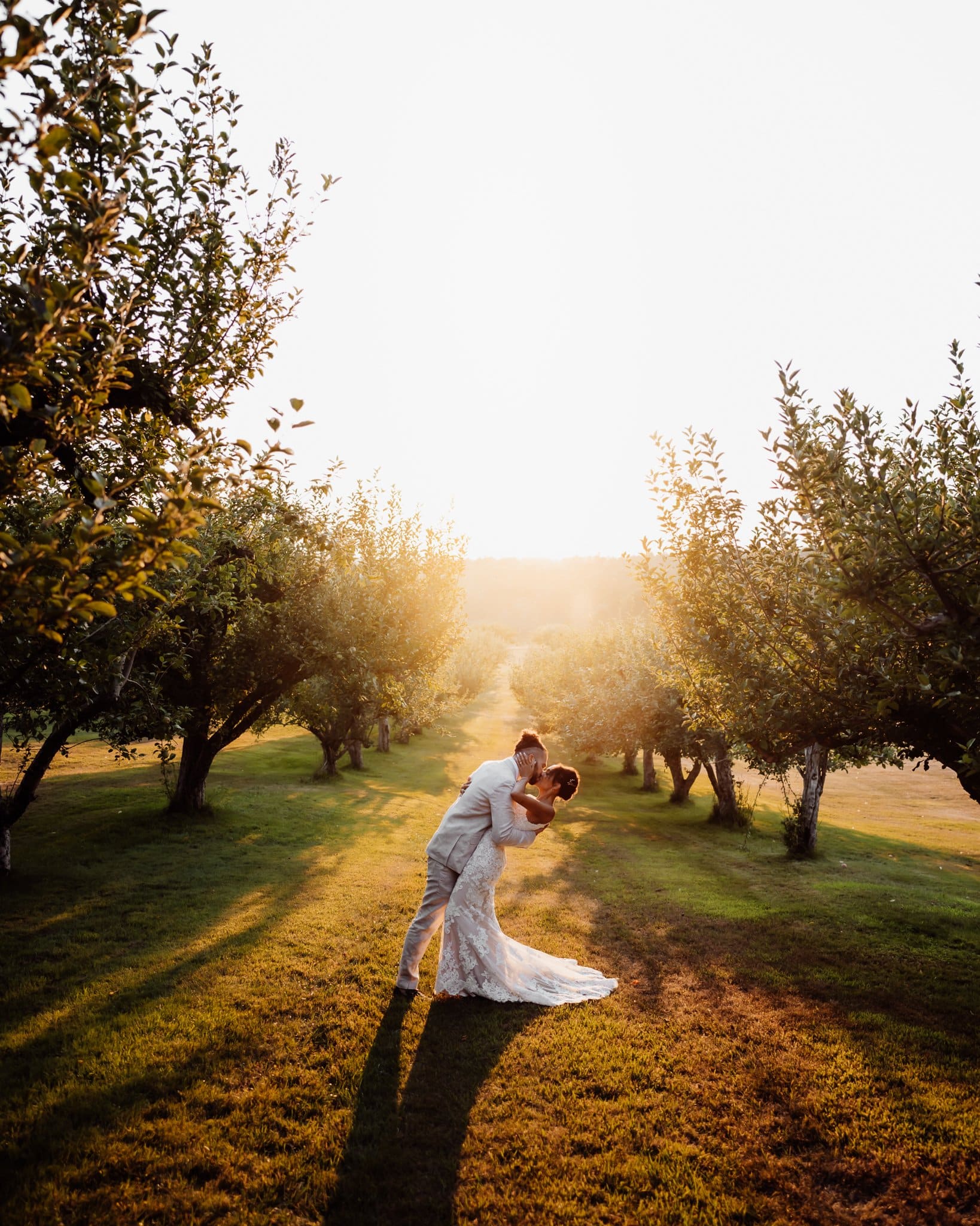 I didn't groom kissing in an apple orchard at sunset