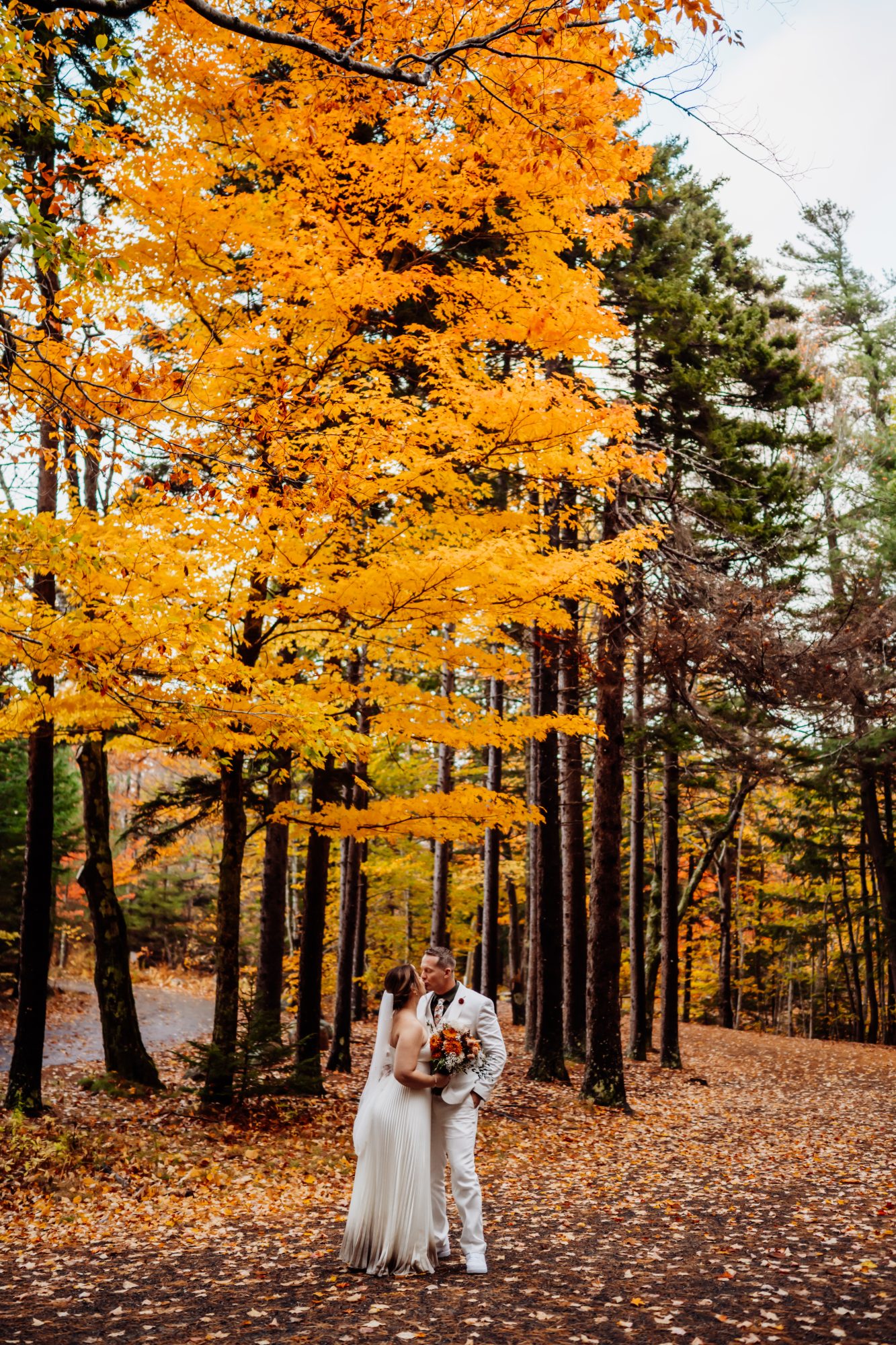 Bride and groom walking through fall foliage in Acadia National Park after coastal ceremony.