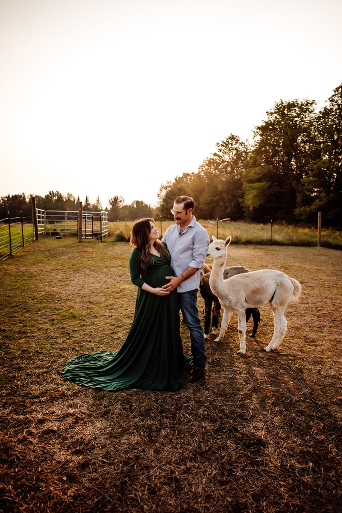 Maine maternity photoshoot with alpaca