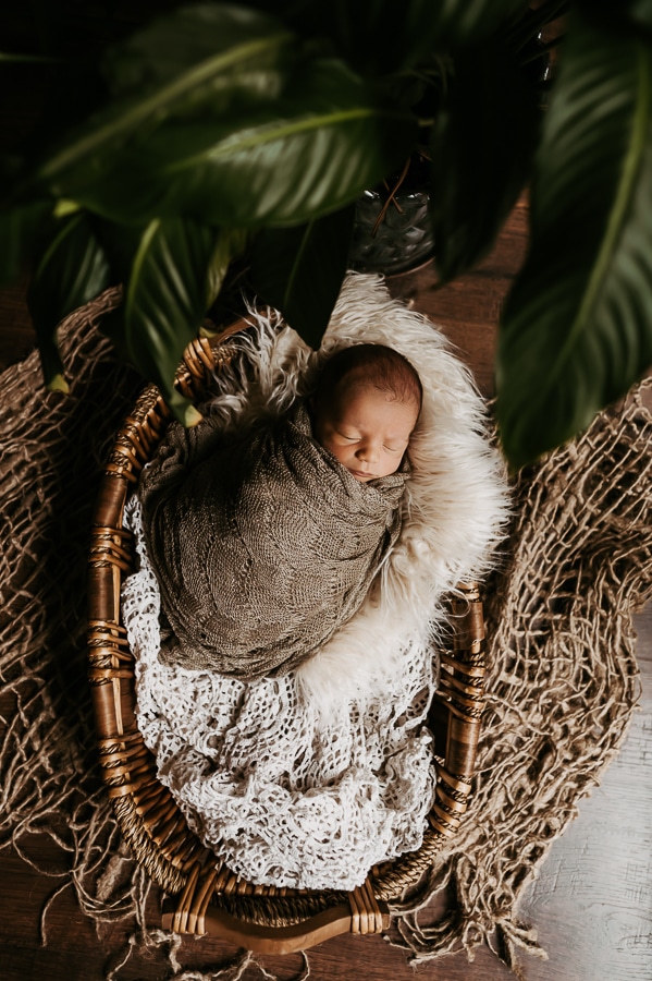 Newborn baby wrapped in basket in front of green leaves