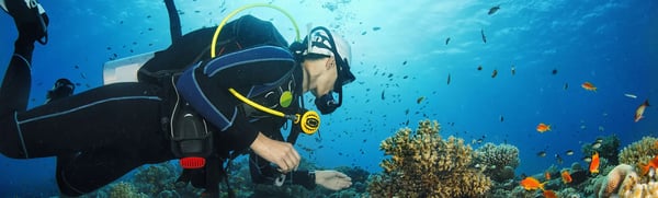 Diving / Snorkeling