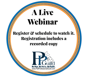 PPG webinar logo