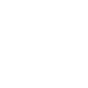 Why Choose Icon