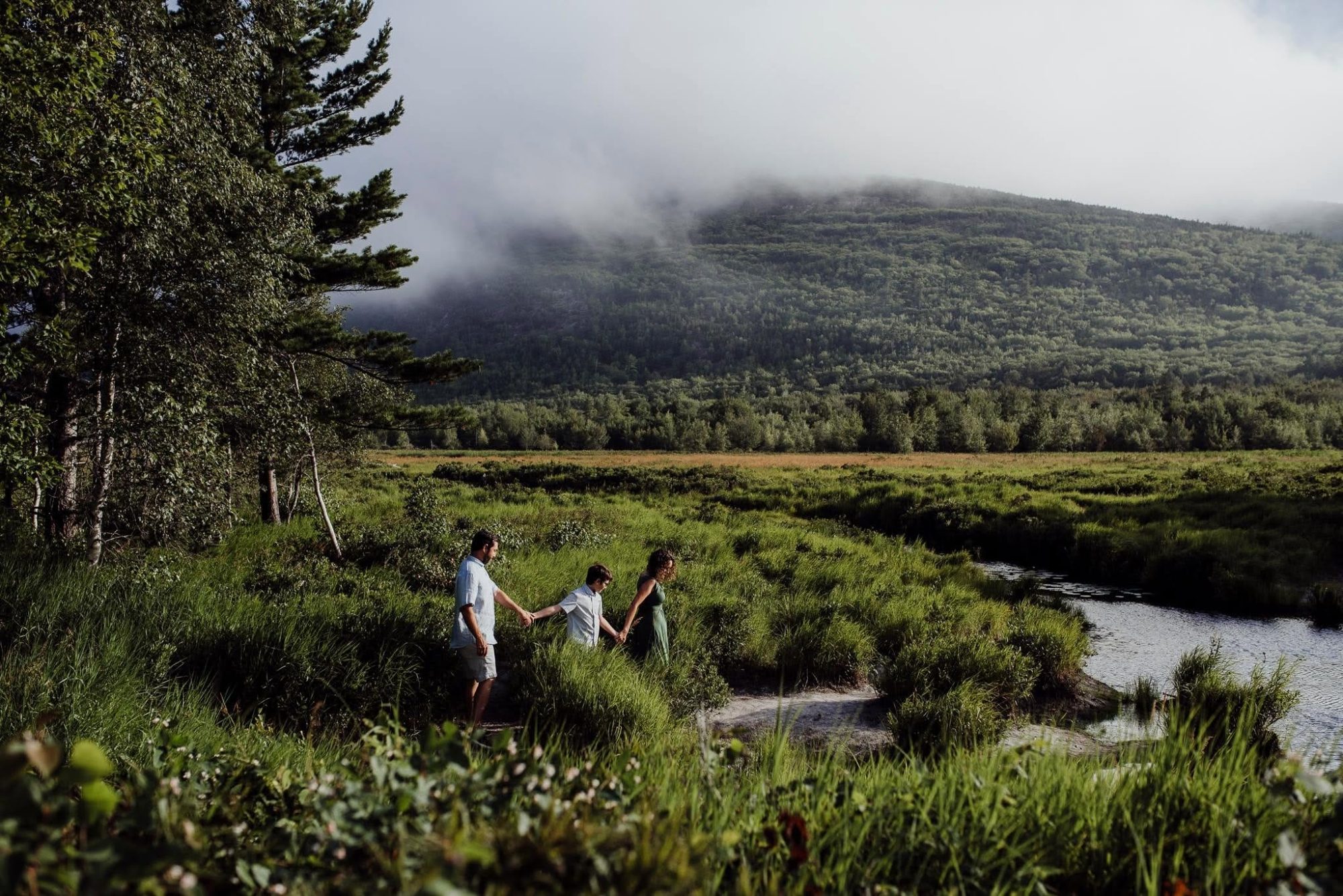 Family walking through the great meadow in the fog