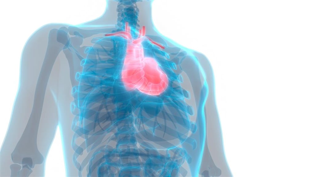 How and Why Hydrogen Mitigates Cardiovascular Diseases?
