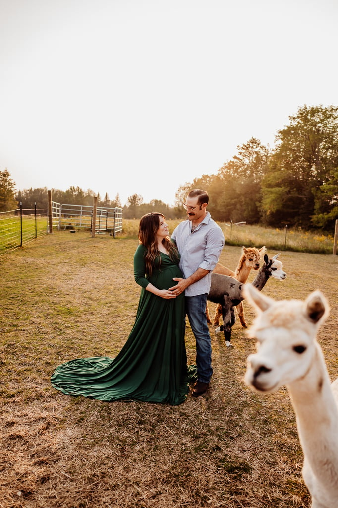 Maine maternity photoshoot with alpaca