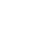 Why Choose Icon