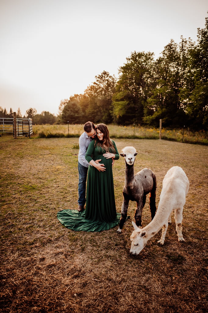 Maine maternity photoshoot with alpaca