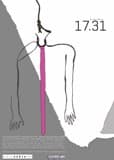 17.31