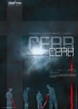 Cerb (Deney)