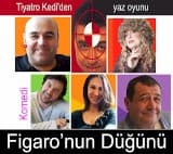 Figaro'nun Düğünü