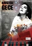 Kristal Gece (Anne Frank'ın Hatıra Defteri)