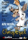 Ölmüş Eşek