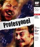 Profesyonel