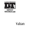 Yaban