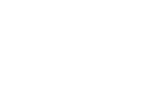 Pons Rallysport logo