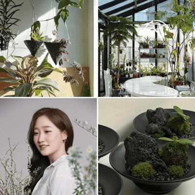 도심 속 작은 정원, 나만의 유니크한 홈가드닝 시작하기 이미지