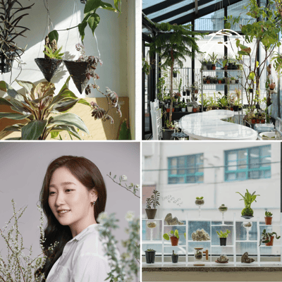 도심 속 작은 정원, 나만의 유니크한 홈가드닝 시작하기 이미지