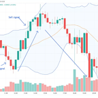 실전 매매 시작