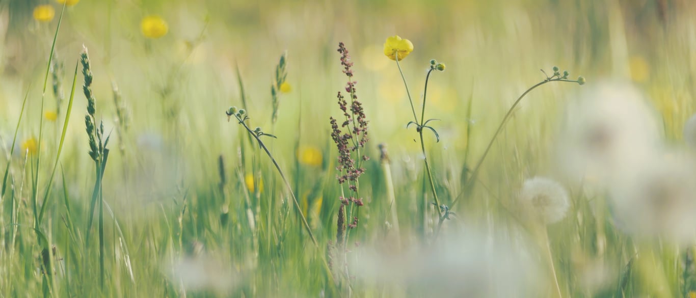 Am 1. Mai haben wir geschlossen. Gerne sind wir ab dem 5. Mai wieder persönlich für Sie da.