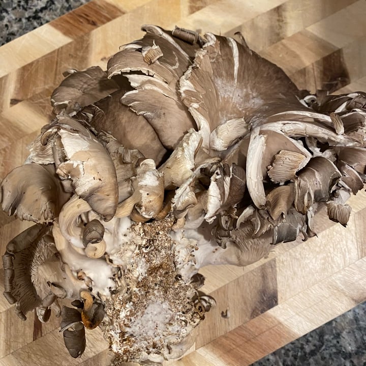 Whole Foods Market oyster mushrooms Review abillion