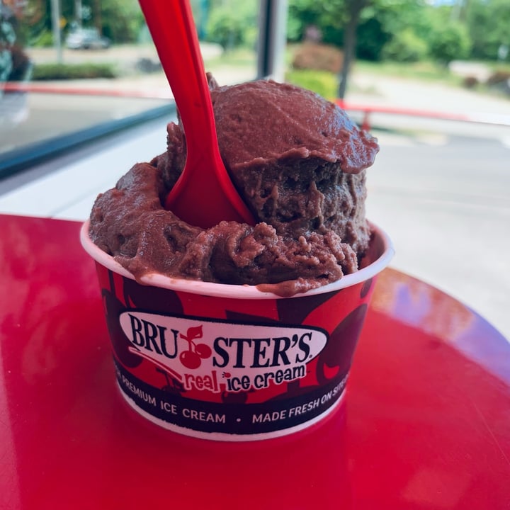 Bruster's Real Ice Cream Chocolate Reviews abillion