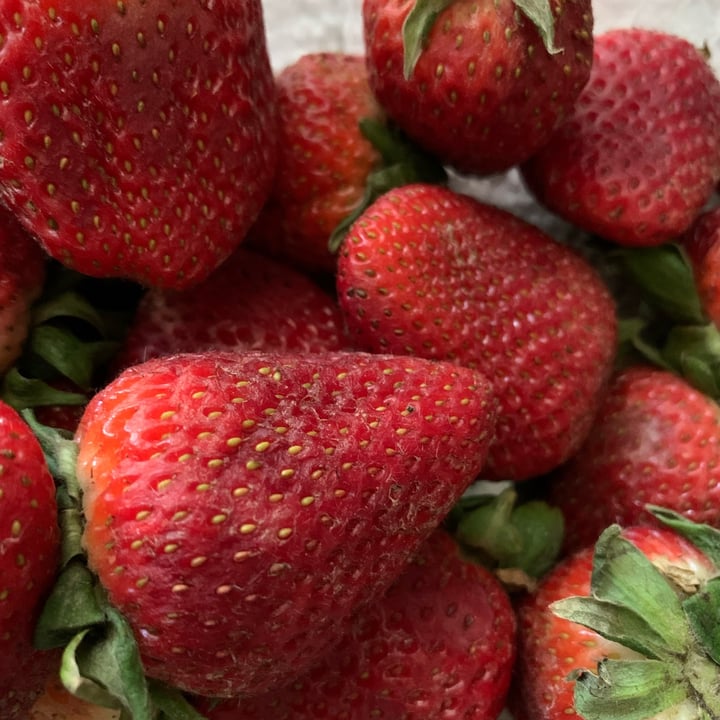 Giant Strawberries Review abillion