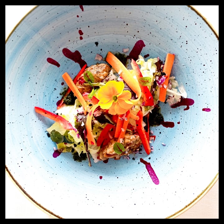 Urbani funghi Funghi porcini congelati Review abillion