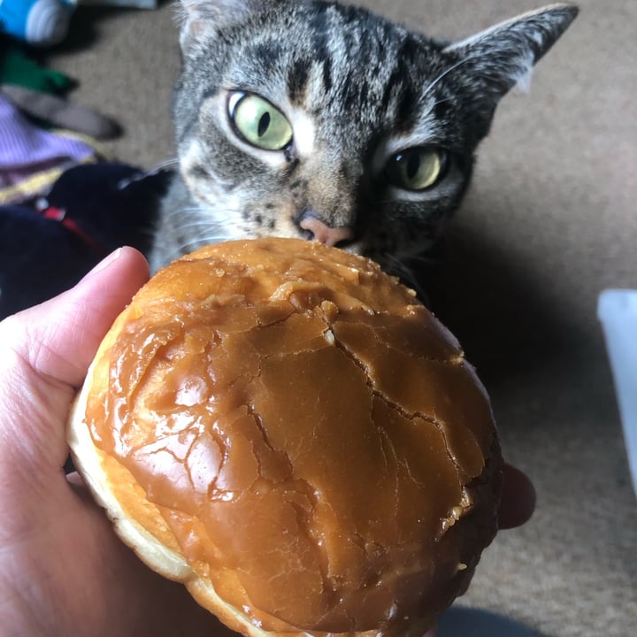 Coughlans Bakery Fudge Donut Reviews abillion