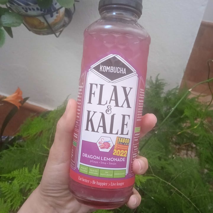 Flax & Kale Kombucha Dragon Lemonade Review abillion