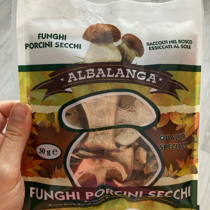 Albalanga Funghi porcini secchi Review abillion