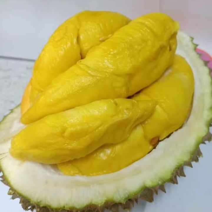 Black Gold Black GOLD durian Review abillion