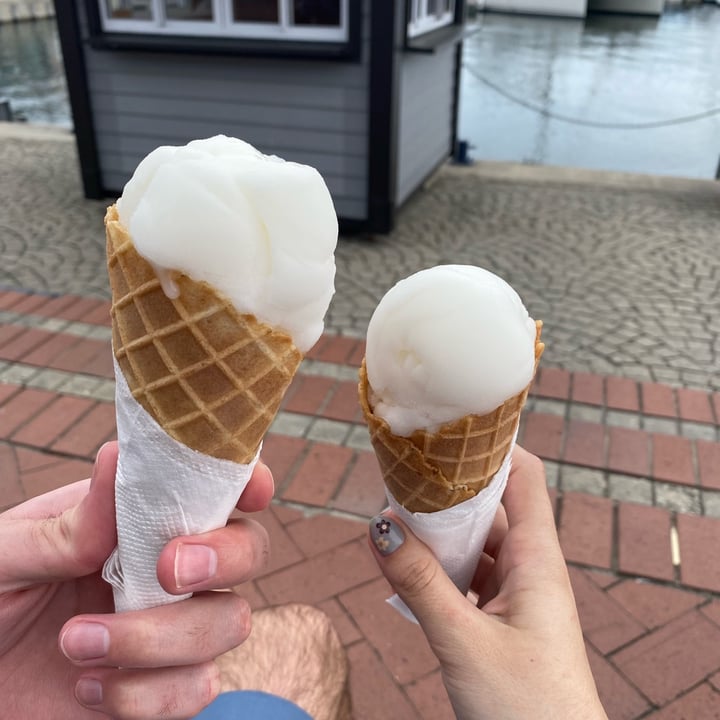 Scoops Homemade Ice Cream lemon sorbet Reviews abillion