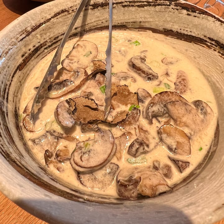 PLANTA Queen Fort Lauderdale Colee Hammock, Fort Lauderdale, United