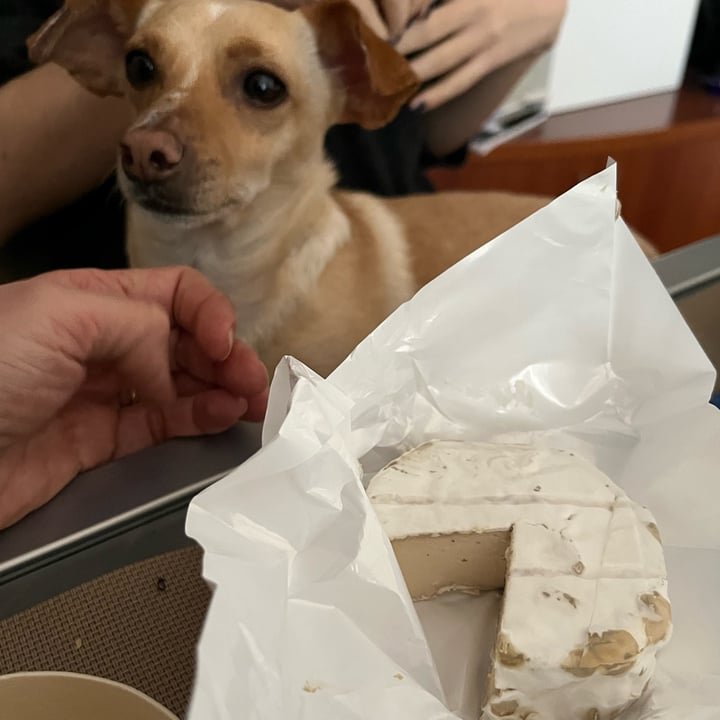 photo of Camelia Fermentino a crosta fiorita shared by @caterinaviti on  22 Jan 2023 - review