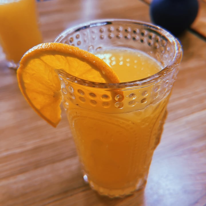 Basil & Bunny Warren, United States Mimosa Review abillion