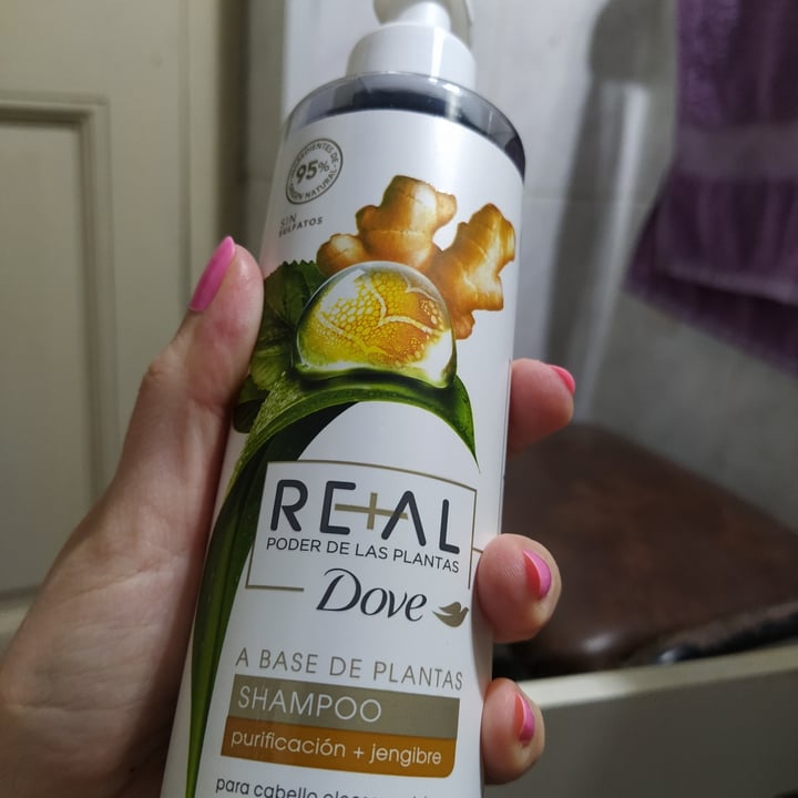Dove Shampoo purificación + jengibre Review abillion