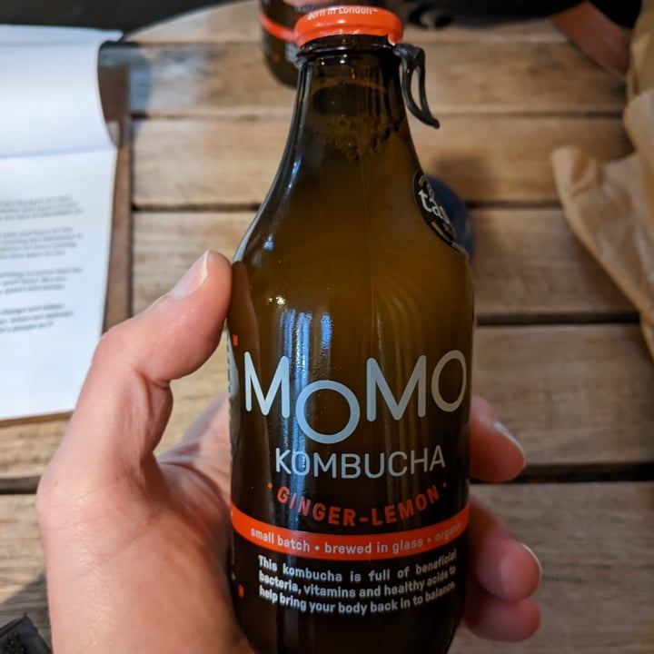 Momo Ginger & Lemon Kombucha Reviews abillion