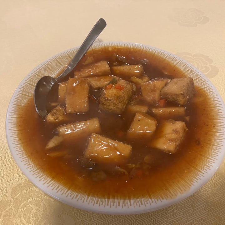 Supreme Vege Rochor, Singapore Braised Tofu Review abillion