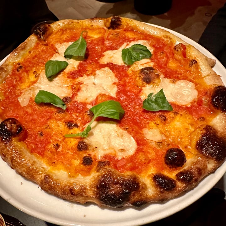 PLANTA Margherita Pizza Reviews abillion