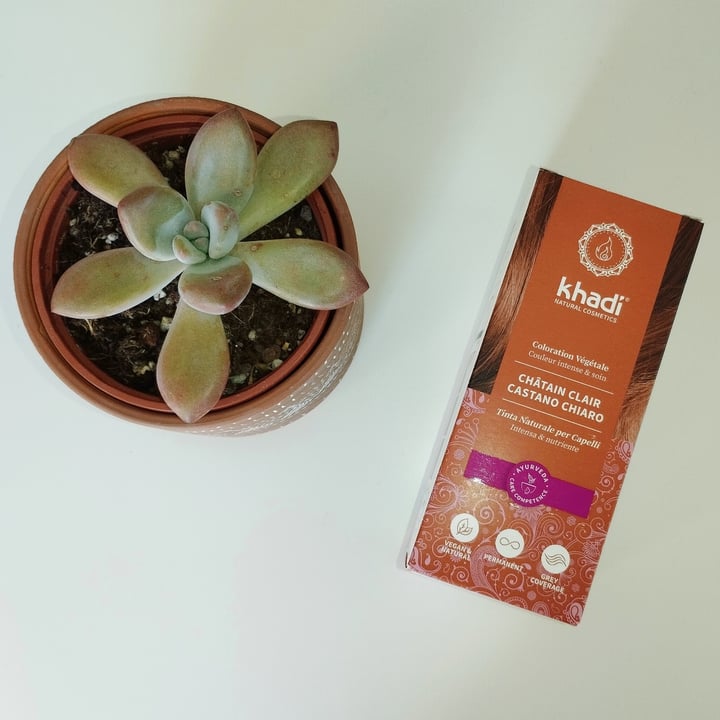 KHADI Henna Review abillion