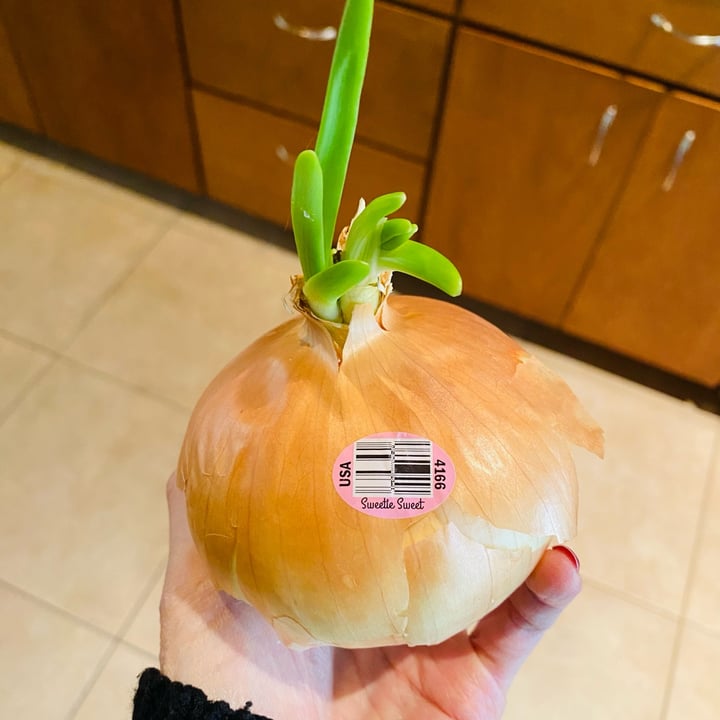 Peri & Sons Sweetie Sweet Onions Review abillion