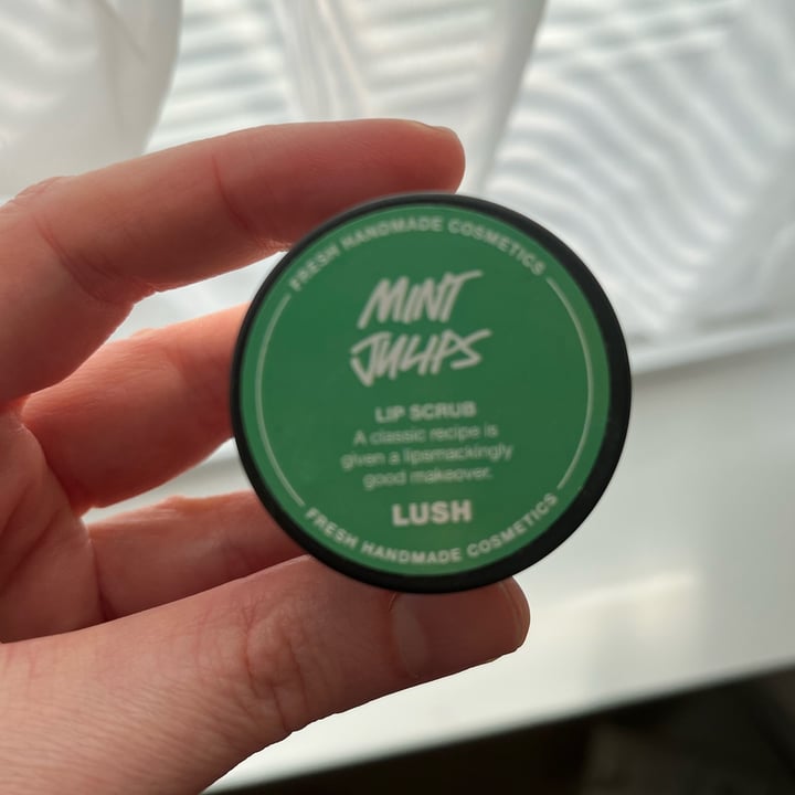 LUSH Fresh Handmade Cosmetics Mint Julips lip scrub Review abillion